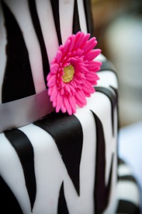 Recommended Wedding Vendors photography DSC8609 199x300 Durango Colorado Photographer Allison Ragsdale DSC8609 199x300