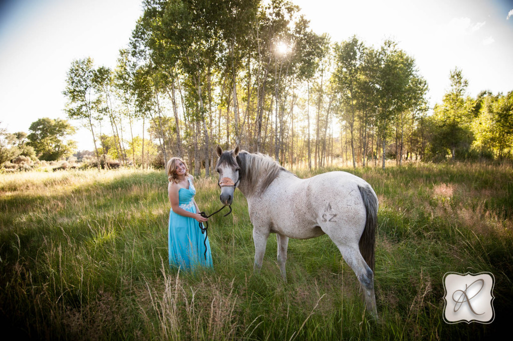 Horse Senior Photography