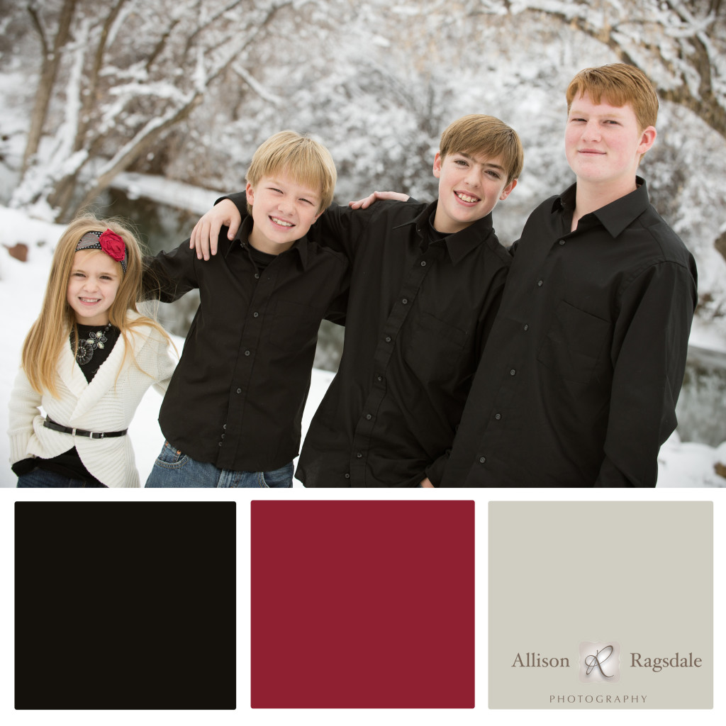 Family Portrait Color Palettes - Durango Wedding and ...