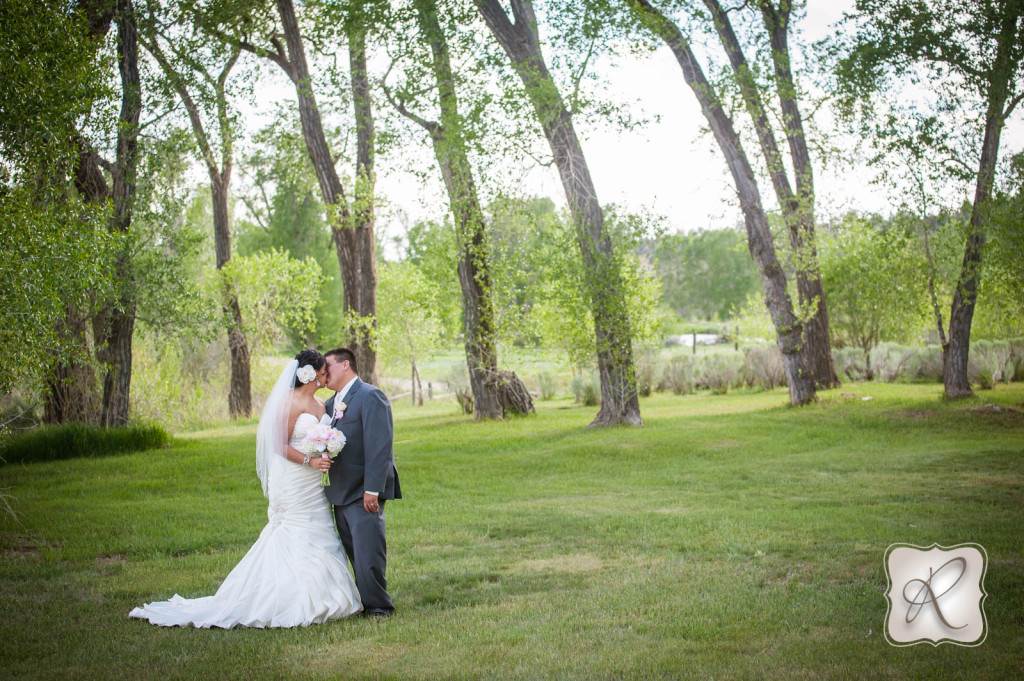 Durango Colorado Wedding Photography 