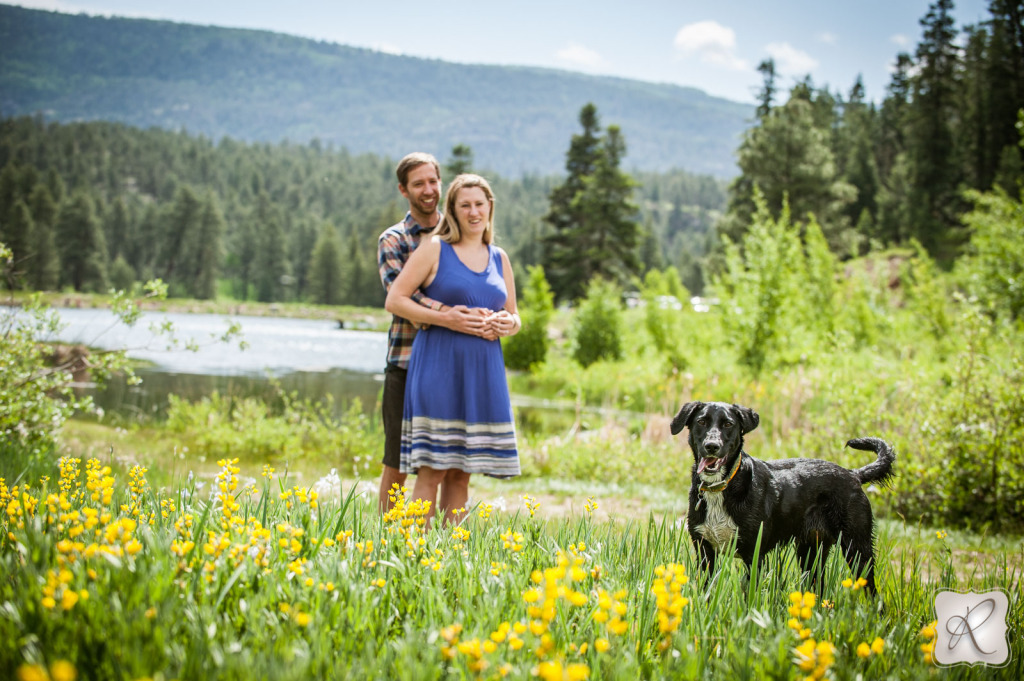 Durango Colorado Engagements