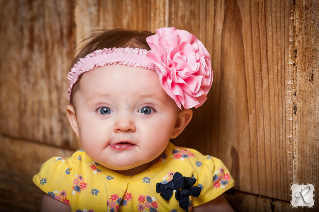 Baby Portraits