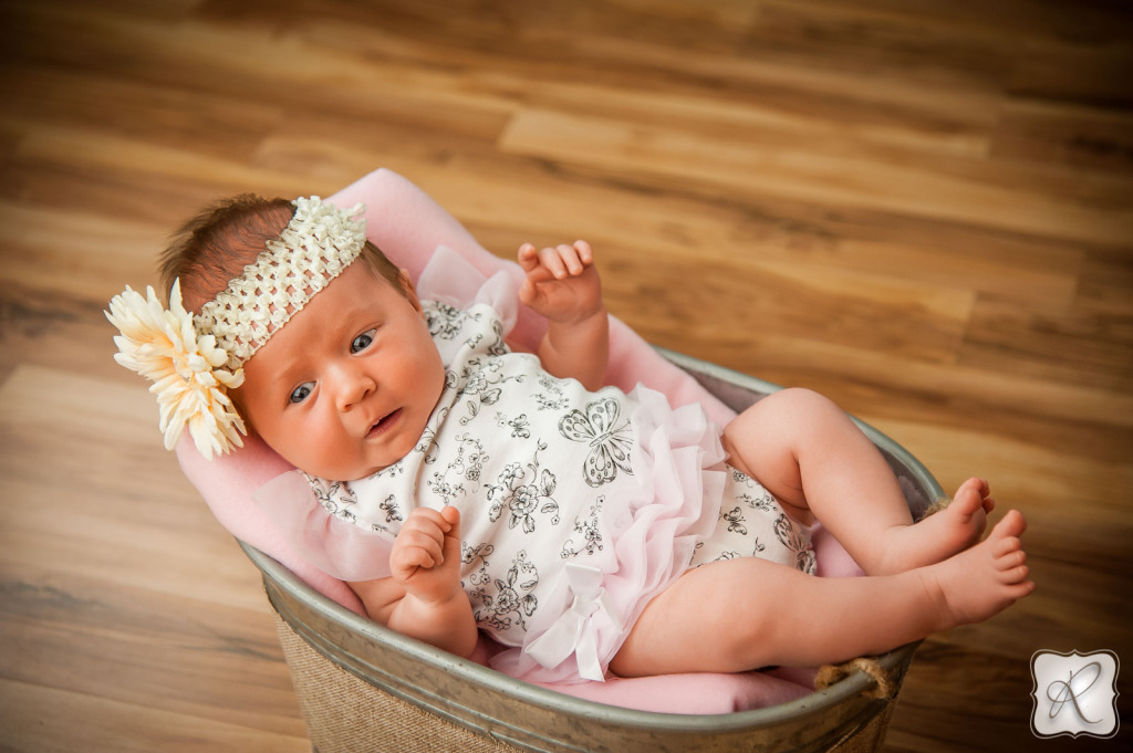 Studio baby Portraits