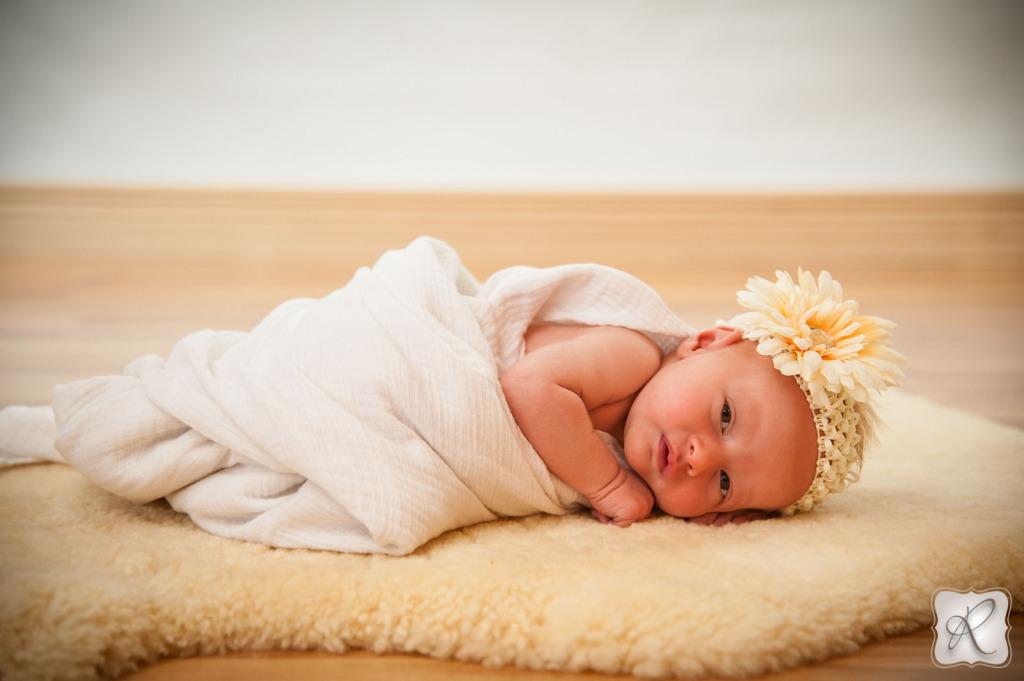 Newborn Photography Durango