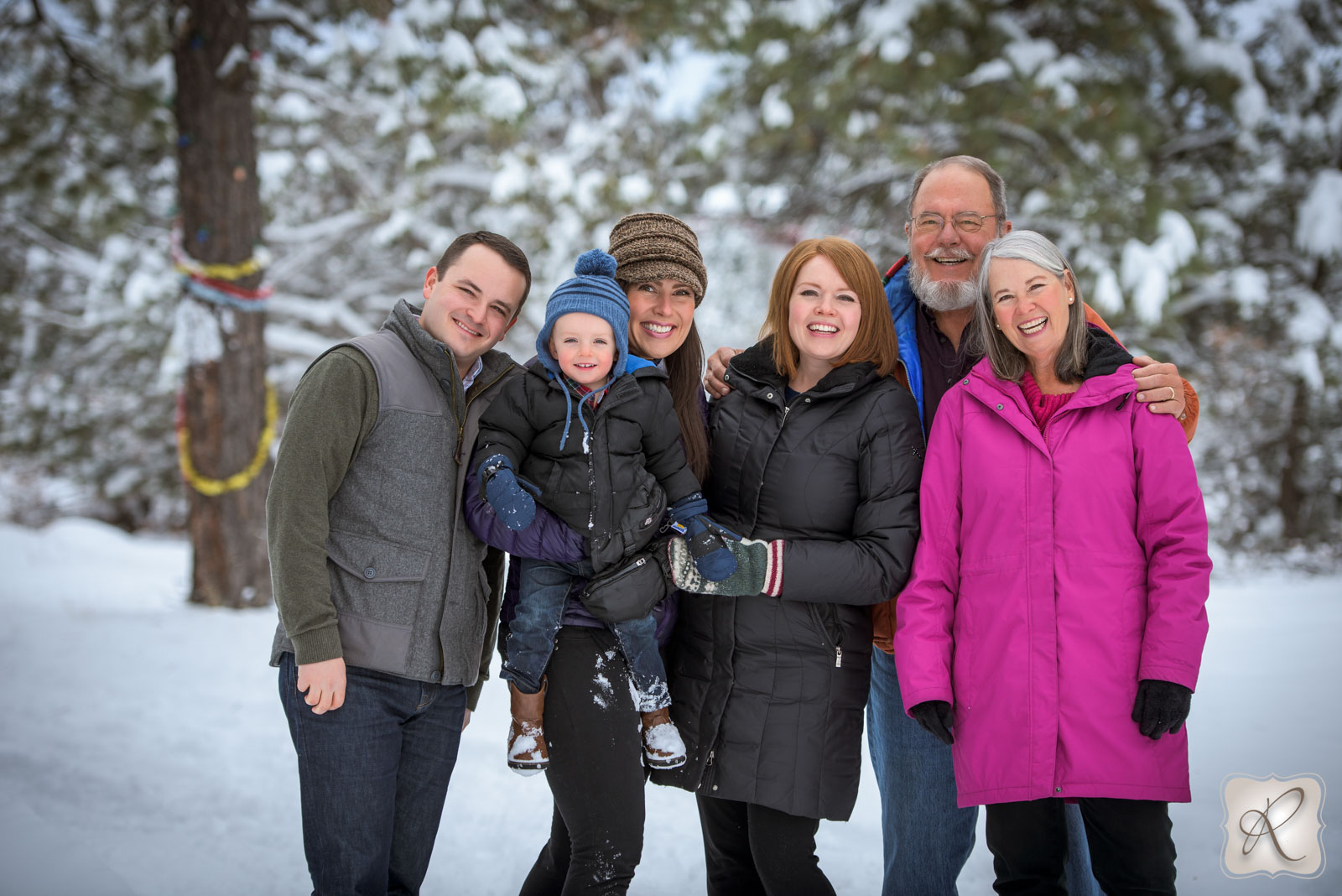 Family Pictures in winter