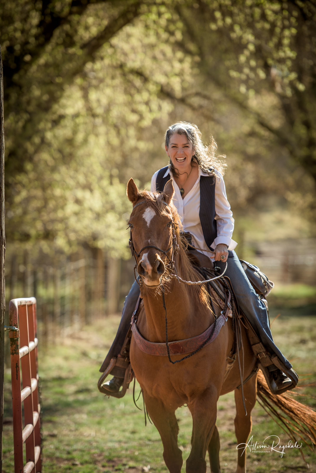 professional outdoor photography with horses in Durango Colorado 