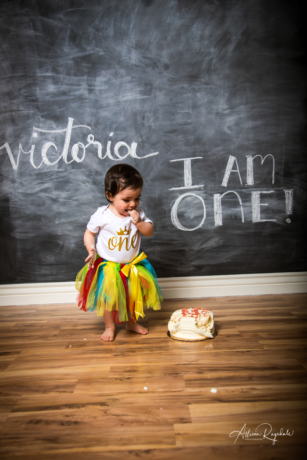 Victoria's One Year Cake Smash in Durango Colorado