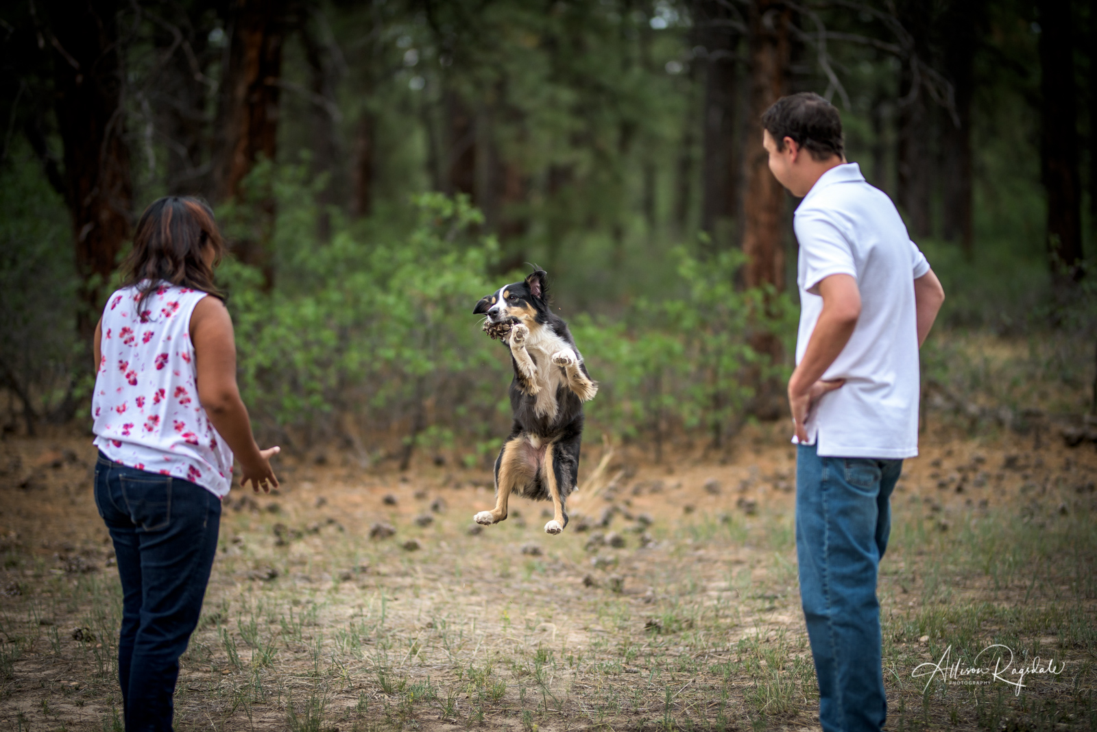 couple and dog portraits in Durango colorado by Allison Ragsdale Photography 