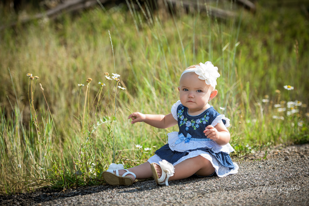 baby portraits by Allison Ragsdale Photography 