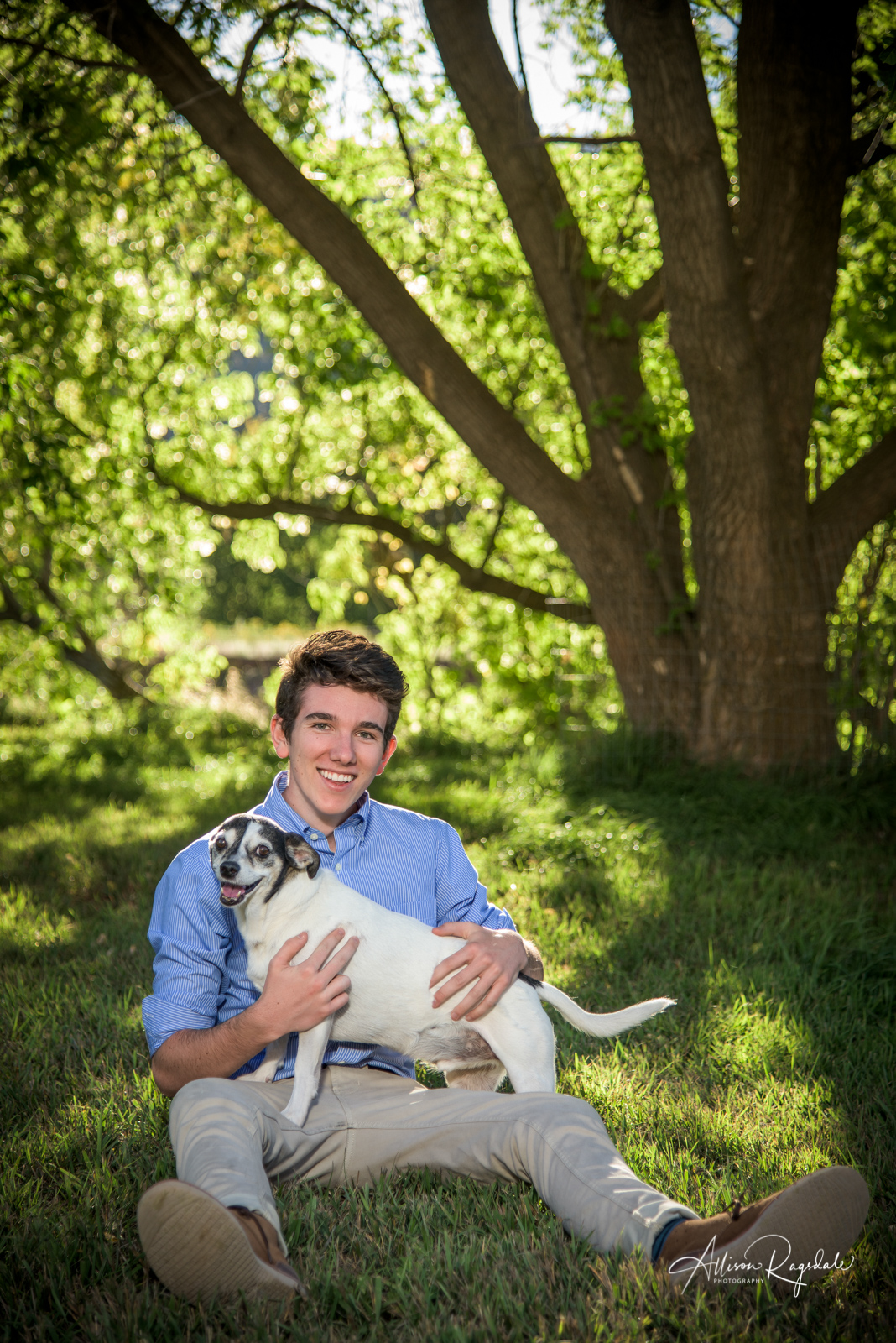 Senior Picture Idea With Dogs