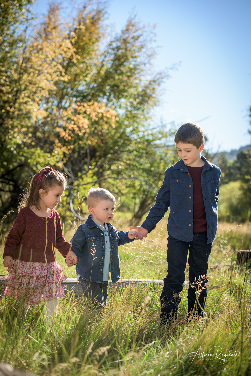 professional family portraits in Durango Colorado by Allison Ragsdale Photography 