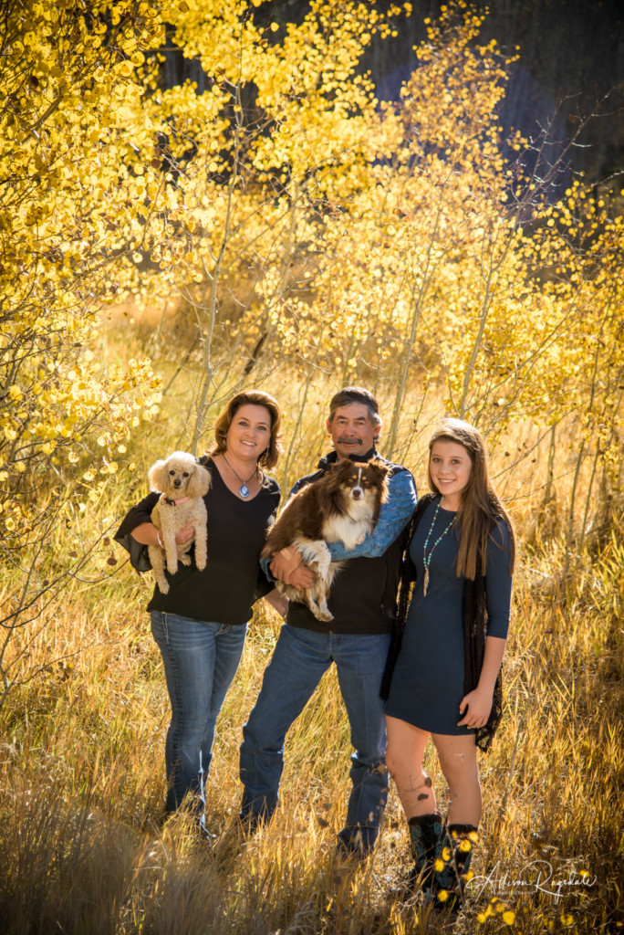 Family Portraits With Dogs