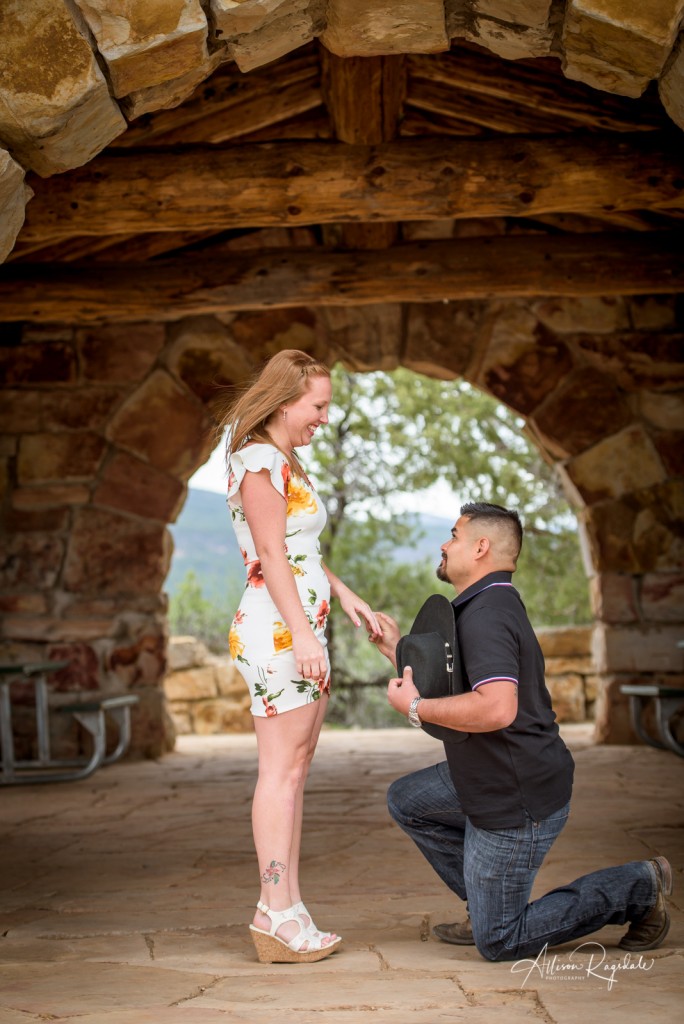 Outdoor engagement photography