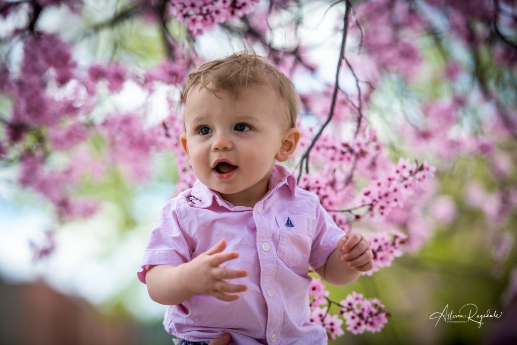 Cute baby photography