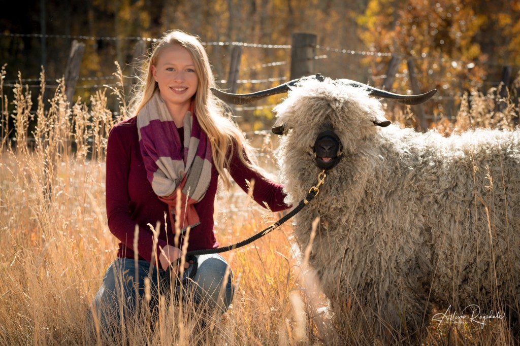 Senior Pictures with sheep