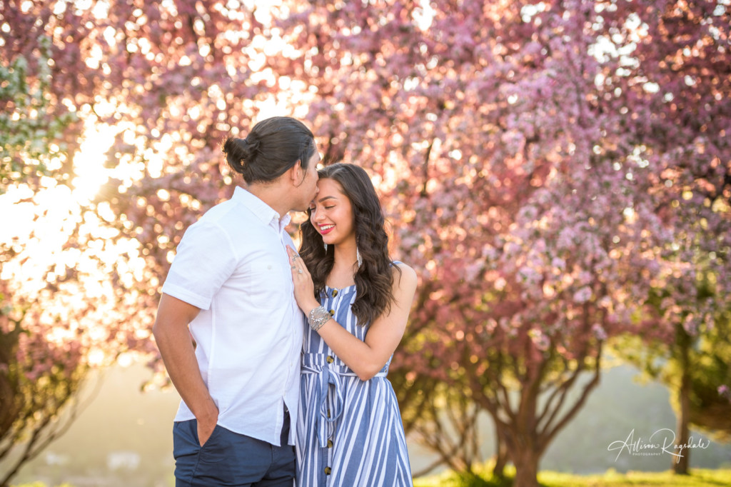 Engagement photos with flowering trees