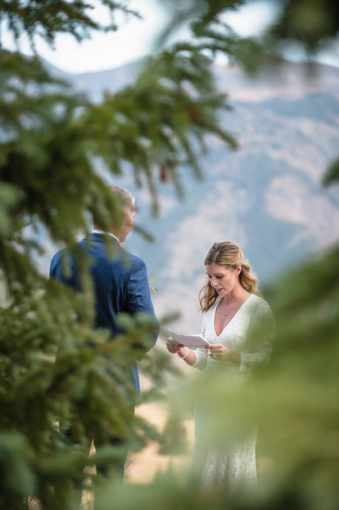 elopement ceremony through pine tree branches picture