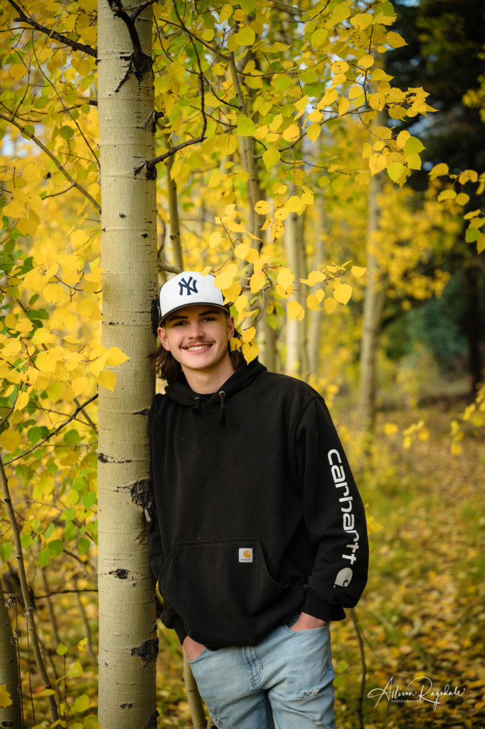 senior guy portrait leaning on fall aspen tree